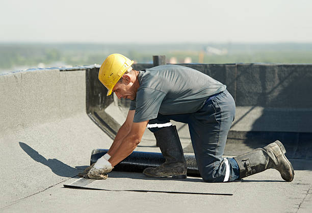 Best Geographic-Specific Insulation Services in Wylie, TX
