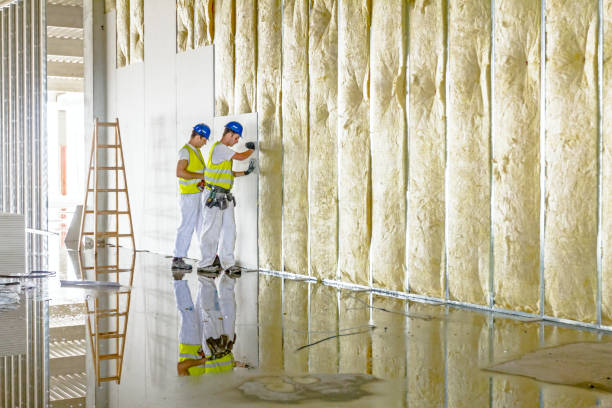 Best Fiberglass Insulation in Wylie, TX